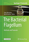 The Bacterial Flagellum: Methods and Protocols（分担執筆）