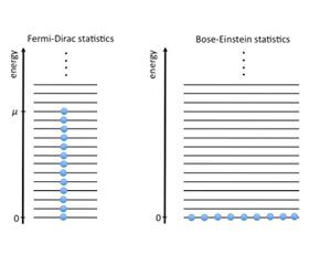 fig_curriculum02_3_05.jpg