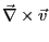 $\vec{\nabla}\times \vec{v}$