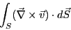 \begin{eqnarray*}
\int_S (\vec{\nabla}\times \vec{v} )\cdot d\vec{S}
\end{eqnarray*}