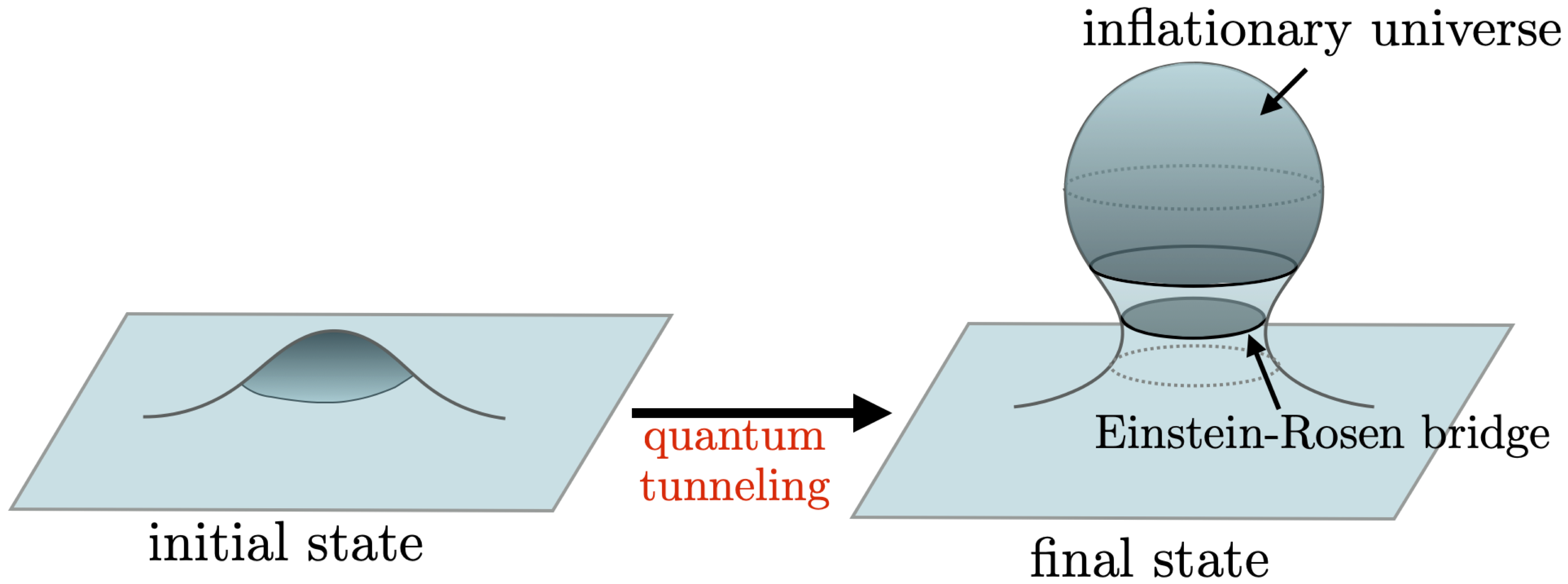 vacuum